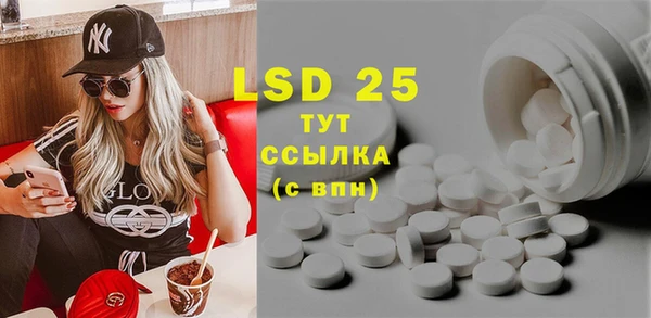 ГАЛЛЮЦИНОГЕННЫЕ ГРИБЫ Белокуриха