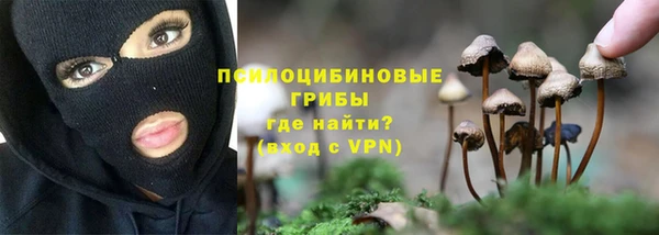 ГАЛЛЮЦИНОГЕННЫЕ ГРИБЫ Белокуриха