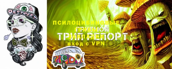 ГАЛЛЮЦИНОГЕННЫЕ ГРИБЫ Белокуриха