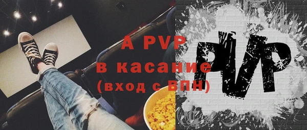 ГАЛЛЮЦИНОГЕННЫЕ ГРИБЫ Белокуриха
