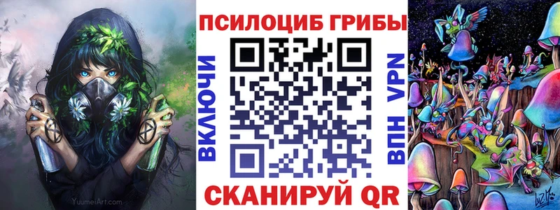 Галлюциногенные грибы Psilocybine cubensis  Вытегра 