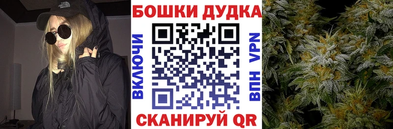 Бошки Шишки THC 21%  Вытегра 